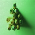 thumbnail image 1 of Ahgly Company Machine Washable Indoor Square Transitional Green Area Rugs, 6' Square, 1 of 7