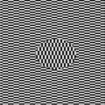thumbnail image 1 of Ahgly Company Machine Washable Indoor Square Transitional Midnight Gray Area Rugs, 7' Square, 1 of 7
