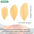 thumbnail image 3 of Uxcell Paquete de 50 Plumas para Manualidades, Doradas de 1.57-3.15 Pulgadas, Plumas Naturales de Ganso Esponjosas para Decoraciones de Bodas, 3 of 6