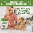 thumbnail image 6 of Wellness WHIMZEES Brushzees Dog Dental Treats, Large Size Stick, (6 Count), 6 of 10