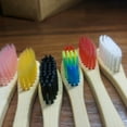 thumbnail image 1 of 10pcs/set Natural Bamboo Toothbrush Soft Bamboo Toothbrush With Bristles, 1 of 5
