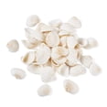 thumbnail image 2 of Colgantes Charm BB Beadthoven, 117 unidades, diseño natural de concha de almeja, 2,2 cm, 2 of 8