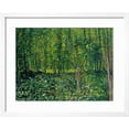 thumbnail image 2 of Trees and Undergrowth, c.1887, Scenic Framed Art Print Wall Art by Vincent van Gogh, 2 of 5
