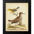 thumbnail image 2 of Edwards, George 15x18 Black Modern Framed Museum Art Print Titled - Antique Bird Menagerie I, 2 of 5