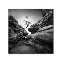 Trademark Fine Art Landscape Canvas Art ' Struggle ' by Sainty