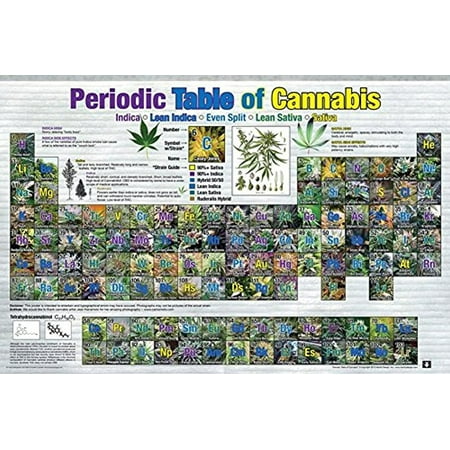 Periodic Table of Cannabis (Weed Marijuana Table) 36x24 Art Print Poster Educational Novelty Drug Smoking