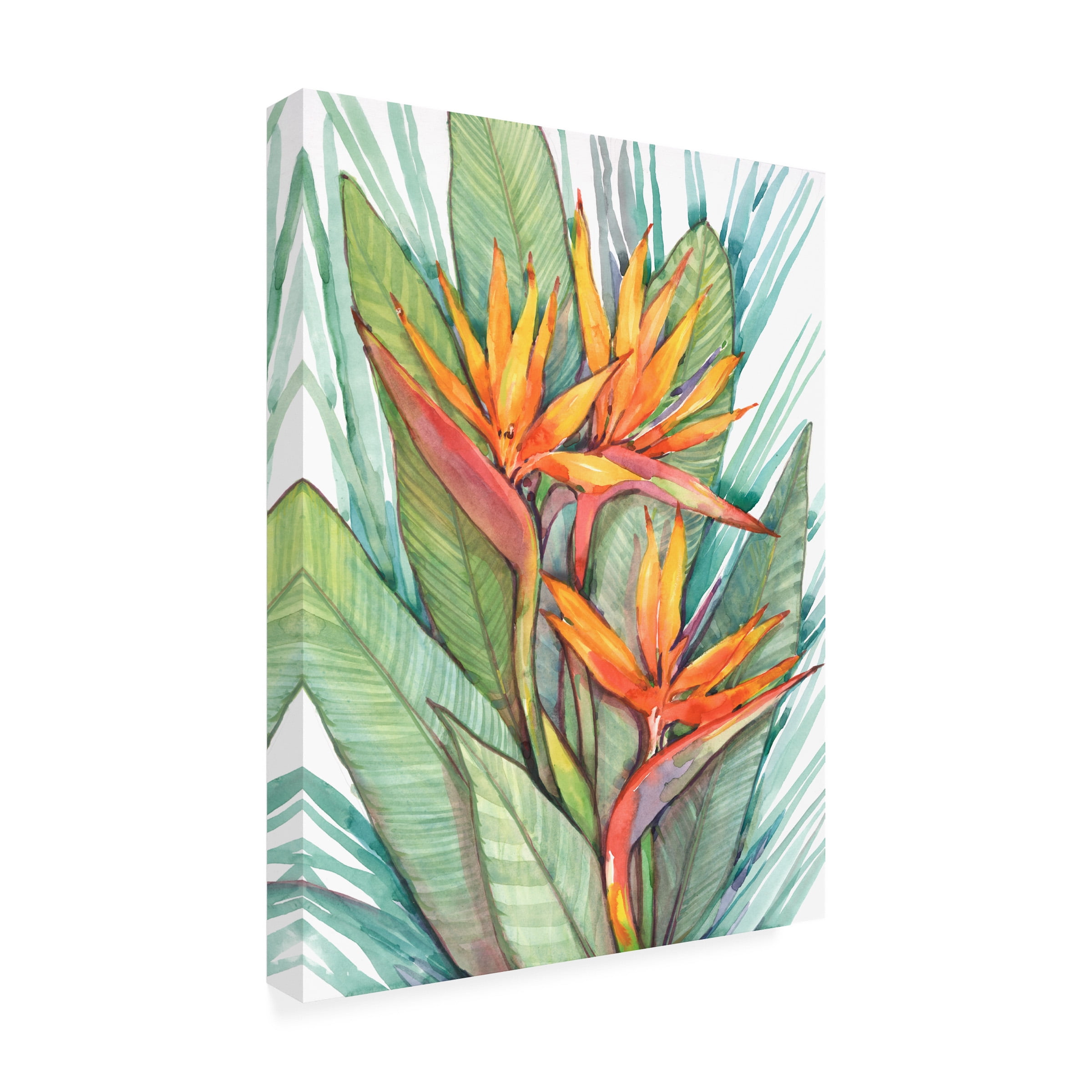Tim O Toole 'Tropical Botanical Paradise II' Canvas Art