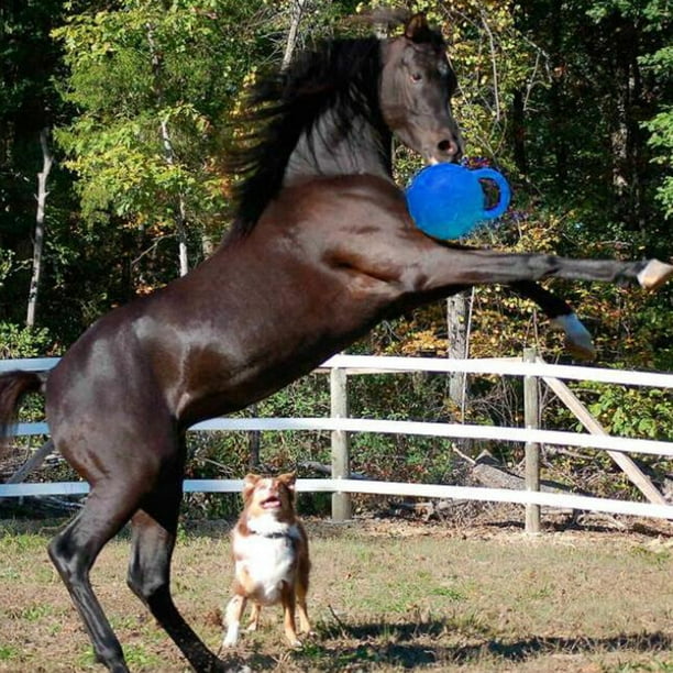 Horse ball toy for dogs cheap