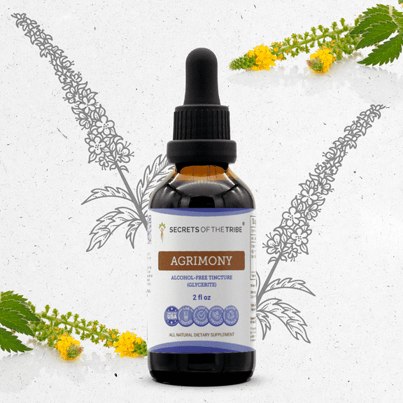 Secrets Of The Tribe Agrimony Tincture Dietary Supplement, Natural Herbal Extract for Digestive and Cleansing Support, Agrimony (Agrimonia eupatoria) Dried Herb, Alcohol-Free Extract, Drops 2 oz