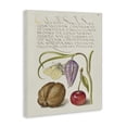 thumbnail image 3 of Stupell Industries French Country Woodland Flora Study Canvas Art, 16 x 20, by Melissa Wang, 3 of 8