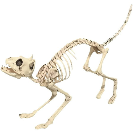 Skeleton Cat Sonic Realistic Halloween Decoration