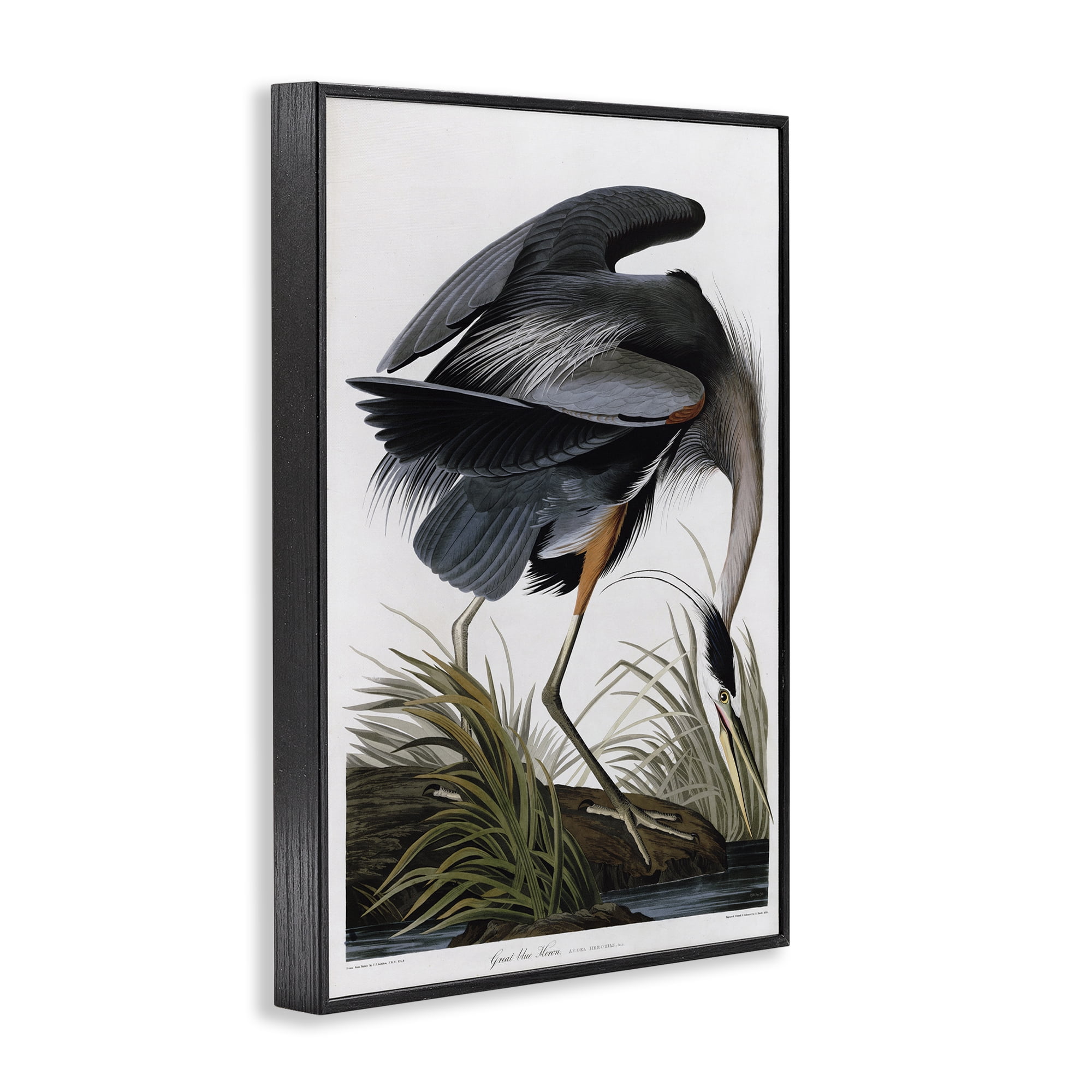 Stupell Industries Classic Heron at Lake Animals & Insects Painting Black Framed Art Print Wall Art, 12 x 18