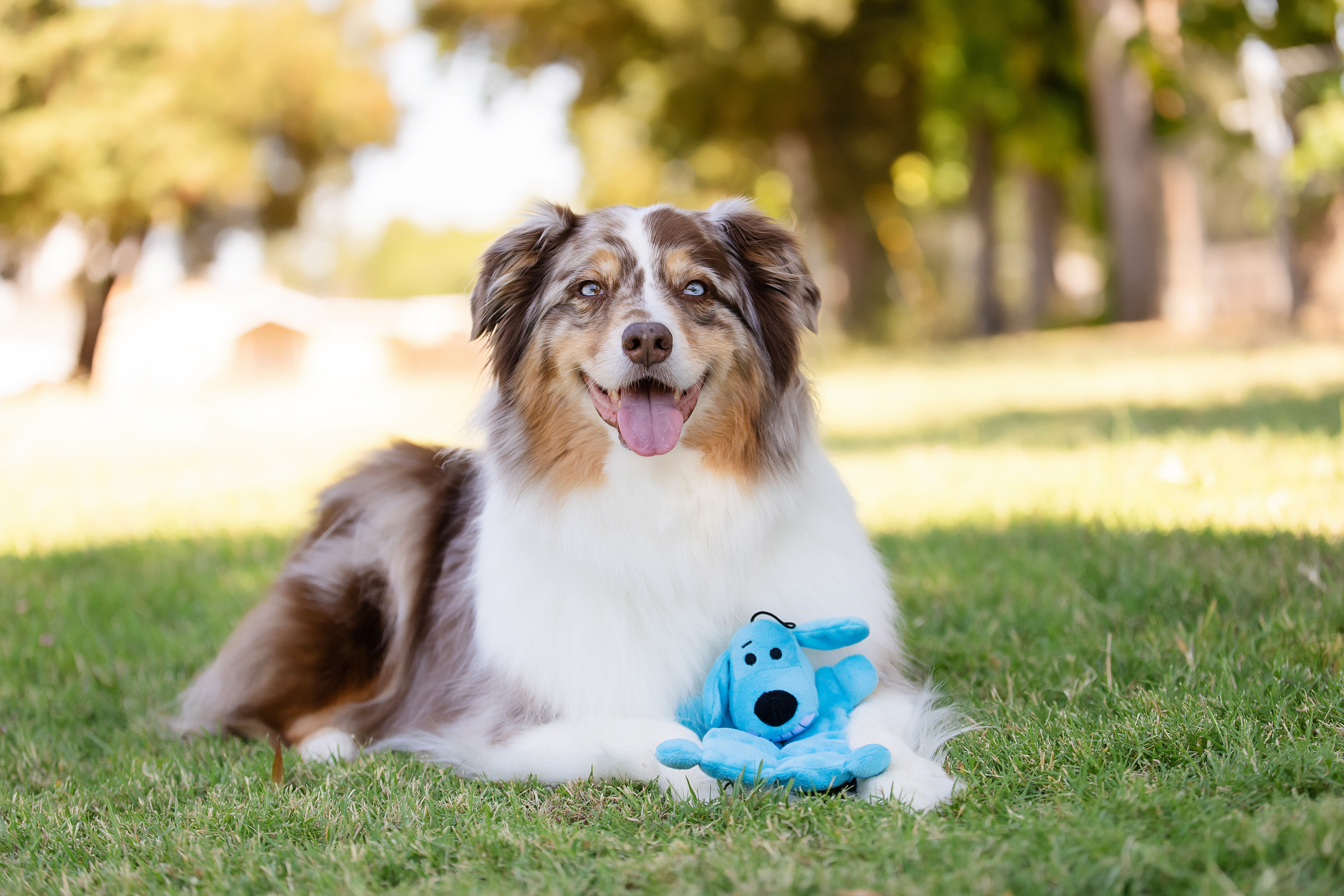 Multipet Smiling Loofa Mat Plush Dog Toy, 12 inches photo 8
