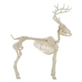 thumbnail image 4 of LED Illuminated Deer Skeleton, 60-inch, Halloween Decoration, by Way to Celebrate, 4 of 6