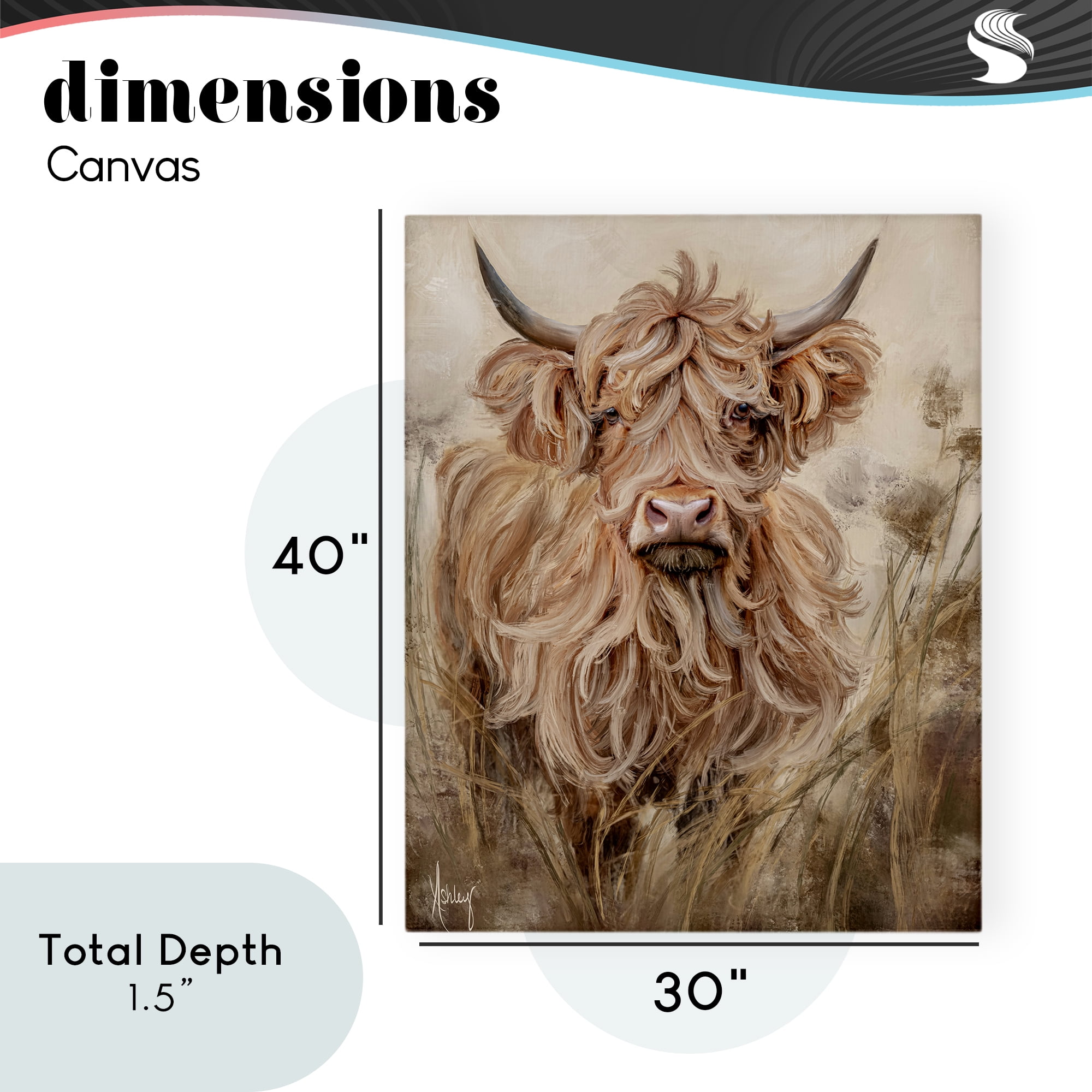Curly Haired Highland Cattle Canvas Wall Art, design by Ashley Bradley