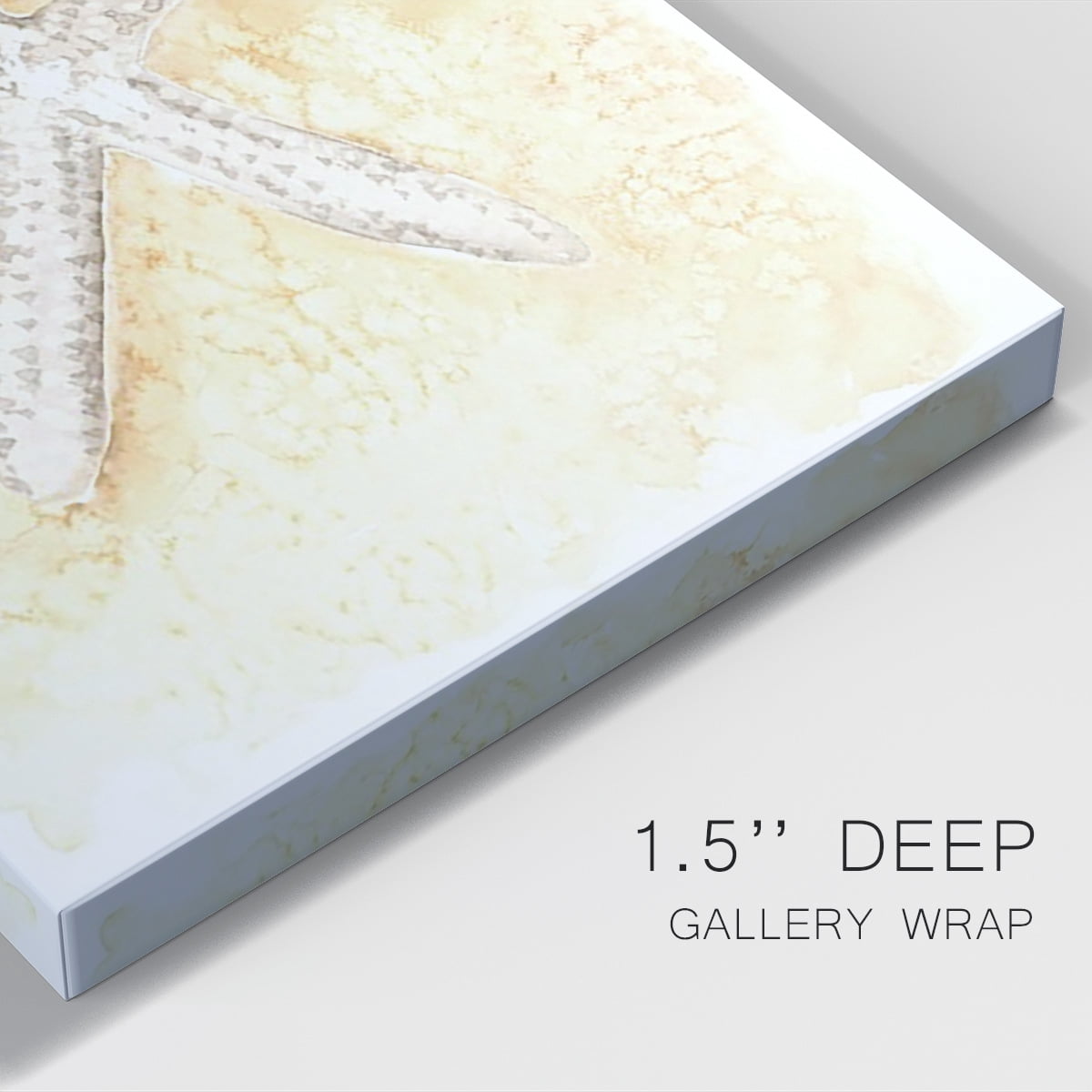 Salty Seashell I Premium Gallery Wrapped Canvas - Ready to Hang