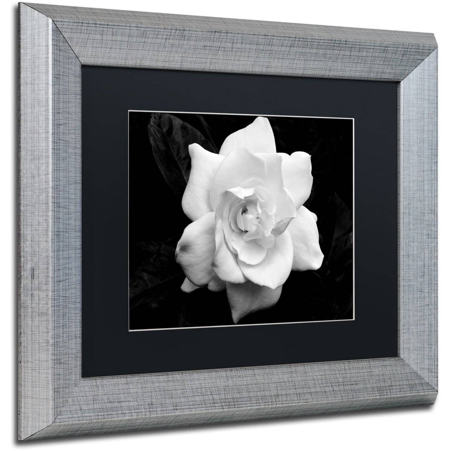 Trademark Fine Art "Gardenia in Black and White" Canvas Art by Kurt Shaffer, Black Matte, Silver Frame