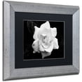 thumbnail image 2 of Trademark Fine Art "Gardenia in Black and White" Canvas Art by Kurt Shaffer, Black Matte, Silver Frame, 2 of 4