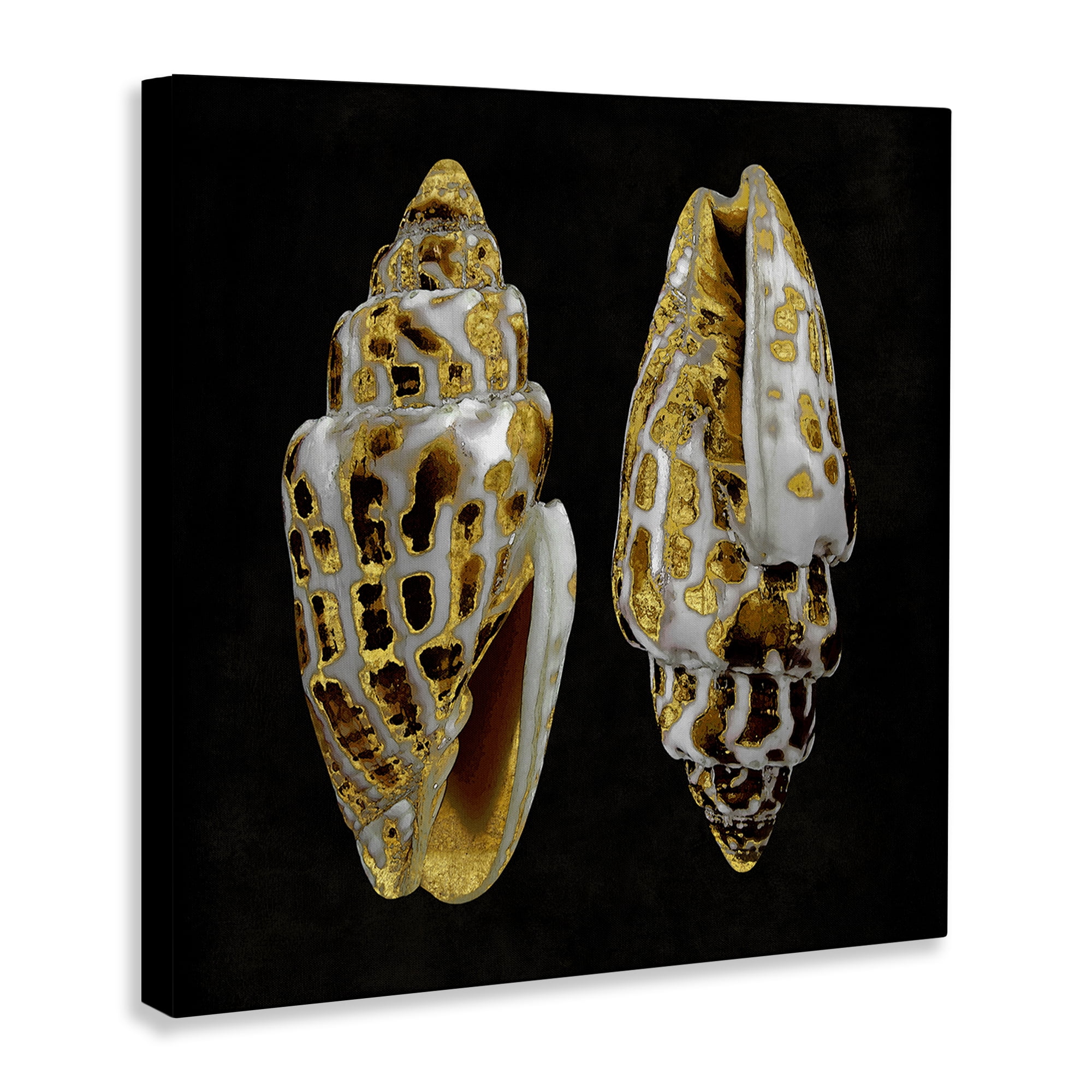 Stupell Industries Spotted Cowrie Shells Nautical & Beach Painting Wrapped Canvas Art Print Wall Art, 36 x 36