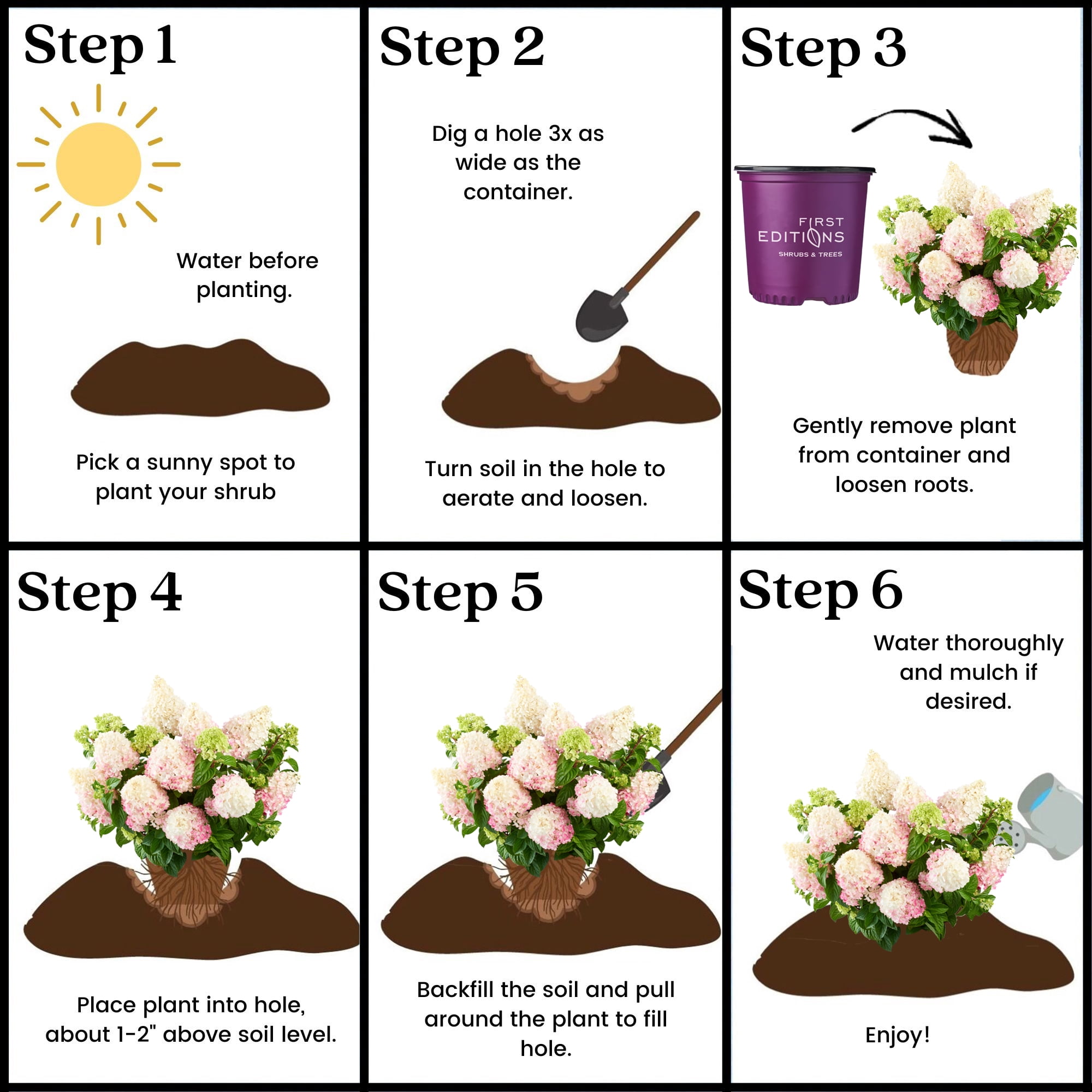 First Editions Hydrangea Vanilla Strawberry Live Shrub in 3-Gallon Grower Pot