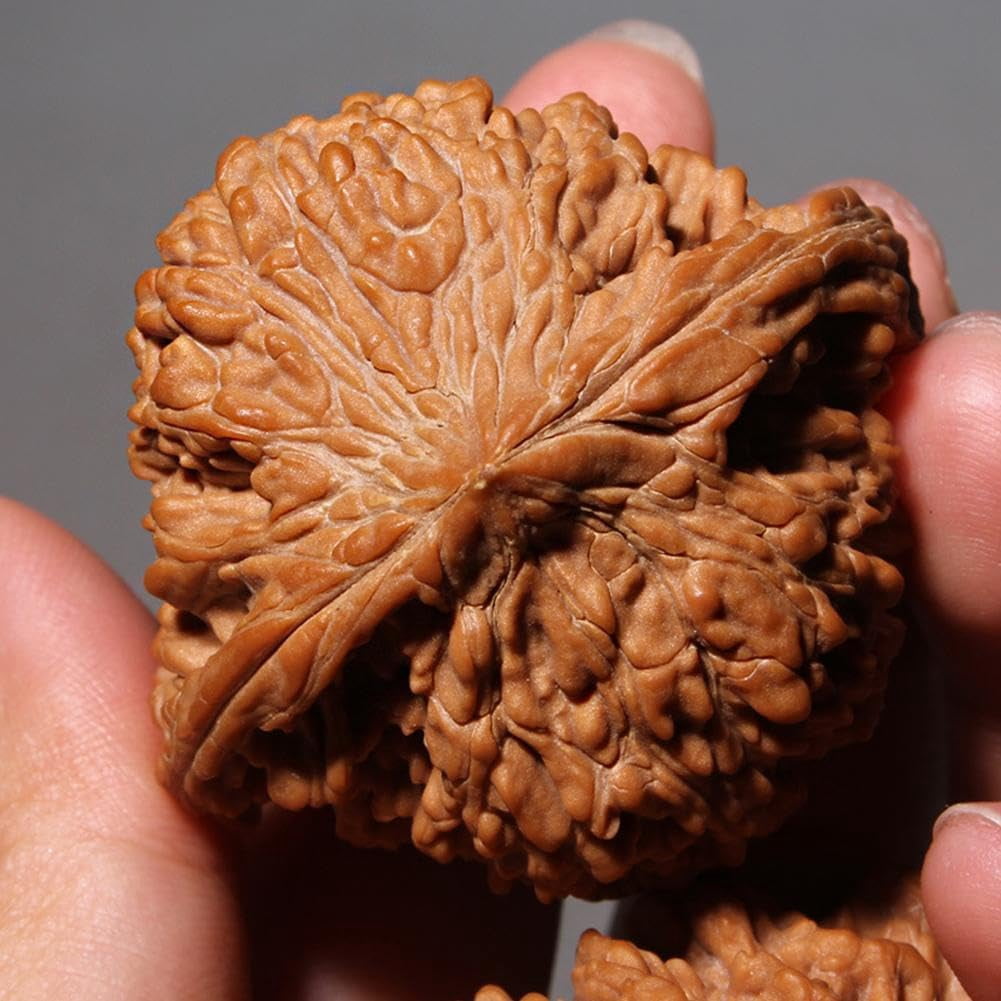 Chinese Walnuts Fidget, Wenwan Walnuts, Hand Training Massage Stress Relief, Walnut and Massage Stress Relief Health Care Ball Toys