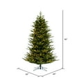 thumbnail image 3 of Vickerman 7.5' x 60" North Shore Fraser Fir Artificial Christmas Tree, LED Warm White Lights, 3 of 5