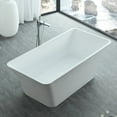 thumbnail image 2 of Lily 59 Inch Acrylic Double Ended Freestanding Tub, 2 of 2