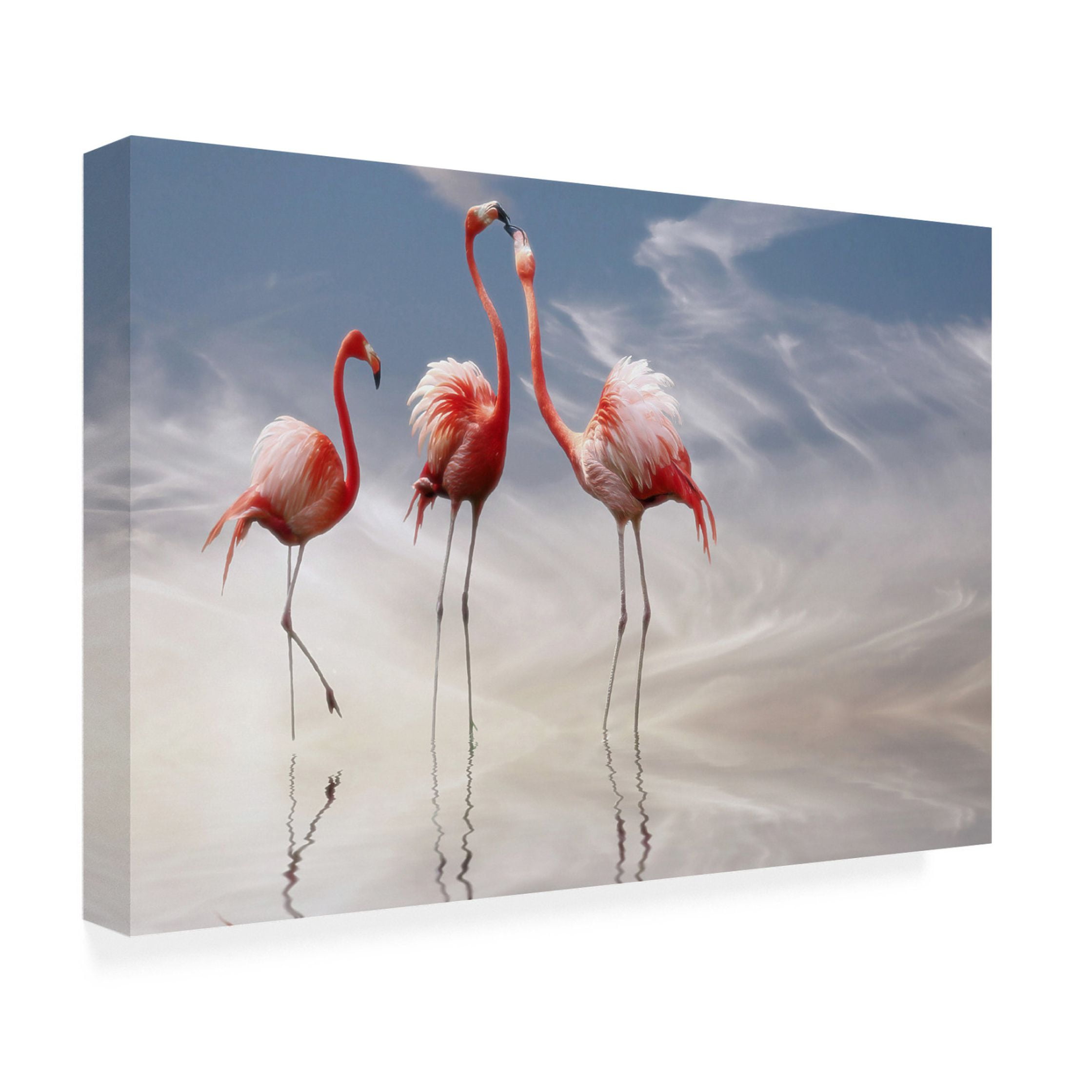 Trademark Fine Art Anna Cseresnjes  Flamingos Canvas Wall Art