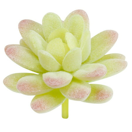 Artificial Mini Succulent Citron Colored Plastic Flower Garden Fake Foliage