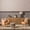 Beige, Light Gray, Charcoal / Neversink, variant on Hauteloom Domalanoan Living Room, Bedroom Area Rug - Traditional - Peach, PaleBlue, Cream - 2' x 3'