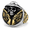 Gold, variant on Men’s Western Skull Ring, Stainless Steel Statement Ring, US Sizes 7–15, Biker Rock Style, Gift for Him