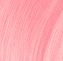 Frose