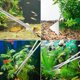 thumbnail image 2 of Compañero de jardinería acuática, kit de herramientas para acuarios y pinzas, acero inoxidable pulido quirúrgico para mantenimiento de peceras y horticultura (incluye bolsa de almacenamiento), 2 of 5