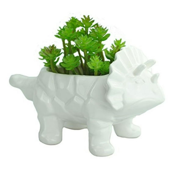 VanEnjoy 6 Inch Blue Dinosaur Ceramic Succulent Planter, with Drainage Hole,Cute Supersaurus, Bonsai Cactus Flower Pot (White triceratop with Hole)