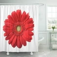 thumbnail image 1 of ABPHQTO Flor Gerbera Roja Aislada sobre Fondo Blanco Cortina de Ducha Margarita 150x180 cm, 1 of 1