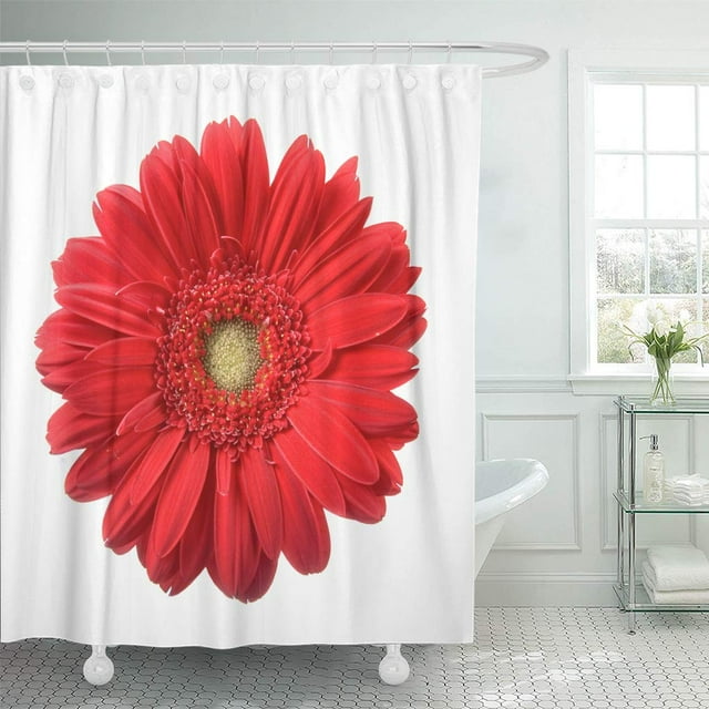 ABPHQTO Flor Gerbera Roja Aislada sobre Fondo Blanco Cortina de Ducha Margarita 150x180 cm