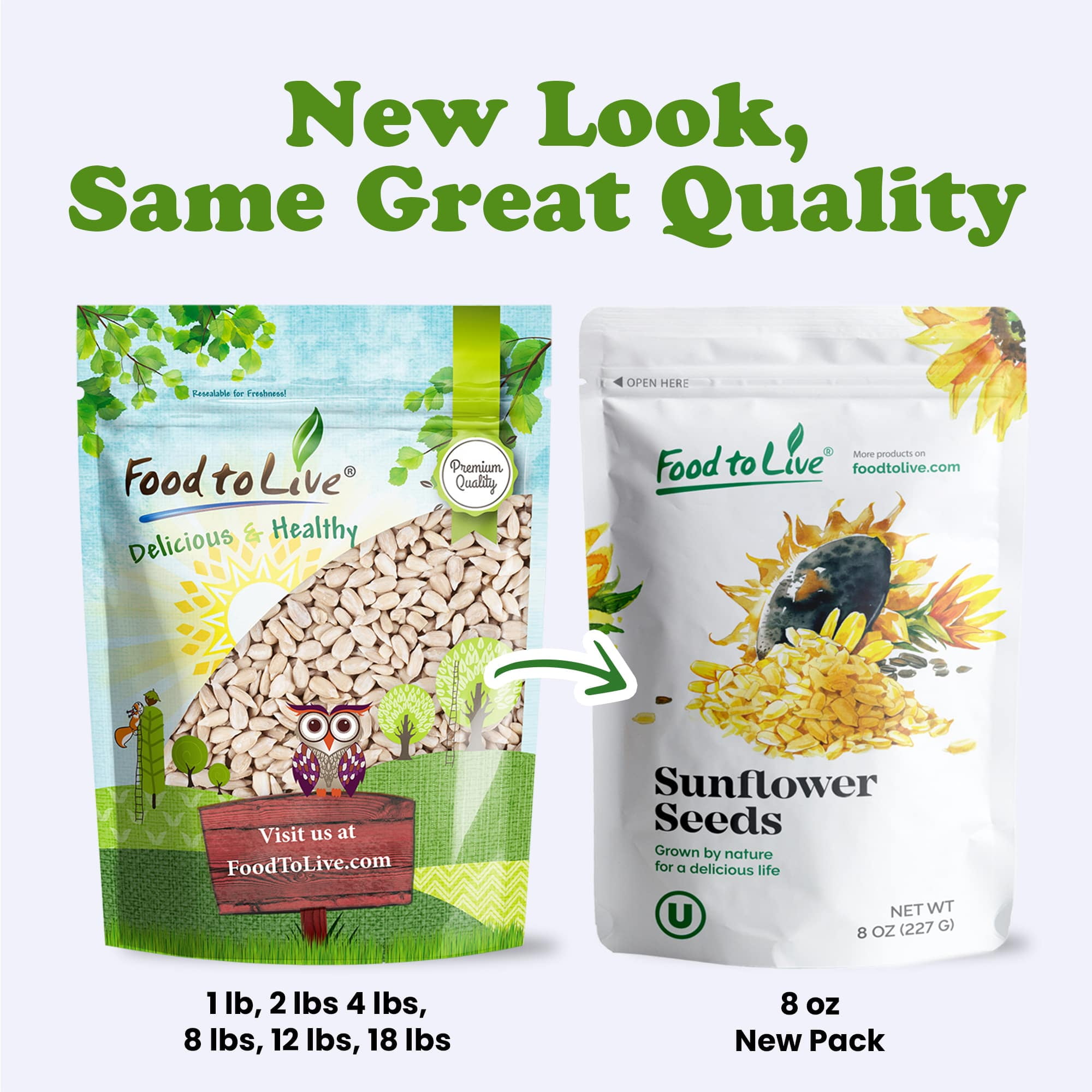Food to Live, Raw Sunflower Seeds, 5 Pounds, Kosher