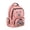School Axolotl, variant on Pzuqiu Ice Cream Axolotl Schoolbag for Girls 17 Inch Lightweight Breathable Kids Backpacks 10-12 Years Old Laptop Daypack Portable School Bookbags with Adjustable Shoulder Strap