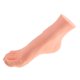 thumbnail image 1 of Modelo de Masculina Pie Derecho Maniquí Soporte de Pantalla de Zapatos Calcentiones Joya de Pie Sunnimix Maniquí de pie masculino, 1 of 7