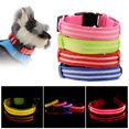 thumbnail image 1 of Flmtop Pet Dog Puppy Adjustable Night Safety Rechargeable LED Lighting Necklace Collar Red, 1 of 9