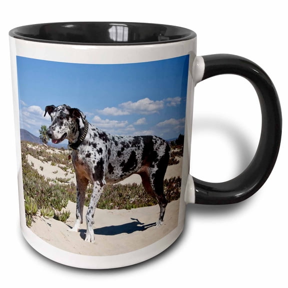 3drose, a Great Dane Dog in California - Na02 Zmu0152 - Zandria Muench Beraldo, 11oz Two-tone Black Mug