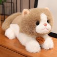 thumbnail image 1 of 25/35CM Precioso juguete de peluche de gato perezoso de simulación suave animal de peluche blanco negro marrón gato muñeca decoración del hogar regalo de cumpleaños, 1 of 5