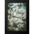 thumbnail image 2 of Mossholder, Tim 13x18 Black Modern Framed Museum Art Print Titled - Almond Blossoms, 2 of 5