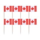 thumbnail image 3 of 400 palillos de dientes con bandera decorativa., 3 of 3
