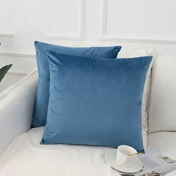 Nmkwnr 2 Pcs Decorative Velvet Throw Pillow Covers Soft Pillow Case for Home, Sofa, Car, Living Room, Bedroom, 16x16 inch