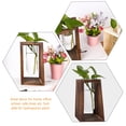thumbnail image 2 of Soporte de madera para flores de aire, para propagación de plantas, macetero de vidrio, florero, maceta, decoración de oficina, mesa de comedor, terrario, 2 of 6