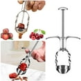 Fruit Corer Stainless Steel Cherry Red Date And Corer For Domestic