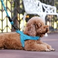 thumbnail image 6 of Plutus Pet No Pull Dog Harness with Breathable Mesh Padded, Adjustable Reflective Escape Proof Dog Harness, Quick Fit Dog Vest Harness for Small Medium Large Dogs(XS, Cyan), 6 of 8