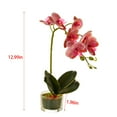 thumbnail image 2 of Glass Vase Artificial Orchid Bonsai - Phalaenopsis Flower Pot Arrangement For Home Table Centerpieces And Room Decor, 2 of 4