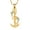 Gold, variant on Anchor with Dolphin Cremation Jewelry for Ashes Holder Urn Necklace Lockets for Human Ashes Pendent for Ashes and Chain